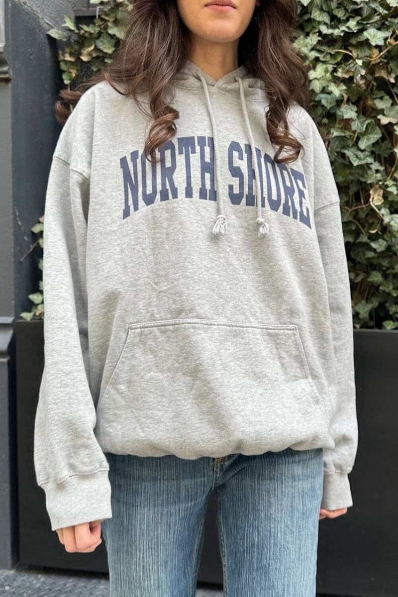 Sweat a Capuche Brandy Melville Christy North Shore Grise | BJQ-04775162